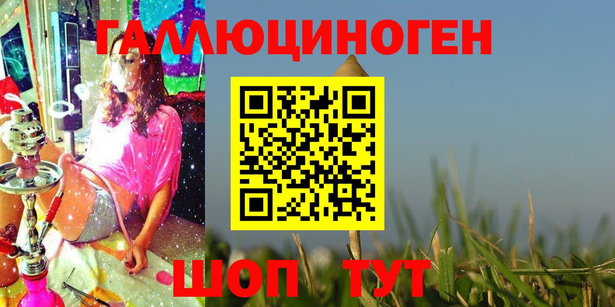 Галлюциногенные грибы Psilocybe Губаха