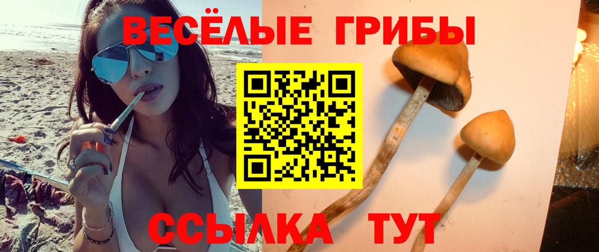 Губаха  Галлюциногенные грибы Magic Shrooms  Галлюциногенные грибы Cubensis  Вход с VPN 